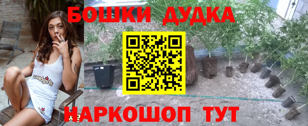 Бошки марихуана Amnesia Советский